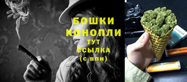 PSILOCYBIN Краснослободск