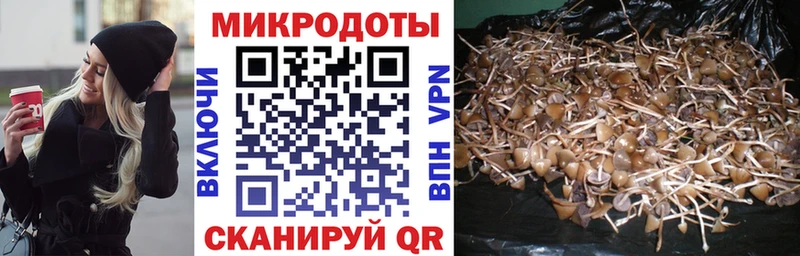Псилоцибиновые грибы MAGIC MUSHROOMS  как найти наркотики  Кириши 